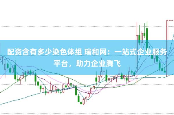 配资含有多少染色体组 瑞和网：一站式企业服务平台，助力企业腾飞