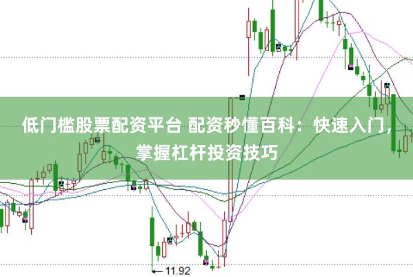 低门槛股票配资平台 配资秒懂百科：快速入门，掌握杠杆投资技巧