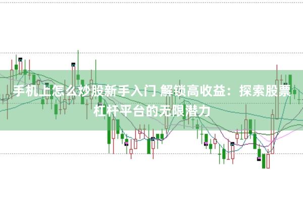 手机上怎么炒股新手入门 解锁高收益：探索股票杠杆平台的无限潜力
