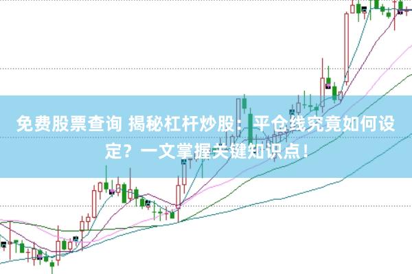 免费股票查询 揭秘杠杆炒股:平仓线究竟如何设定?一文掌握关键知识点!