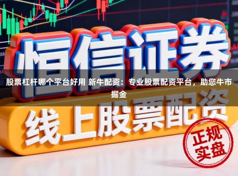 股票杠杆哪个平台好用 新牛配资：专业股票配资平台，助您牛市掘金