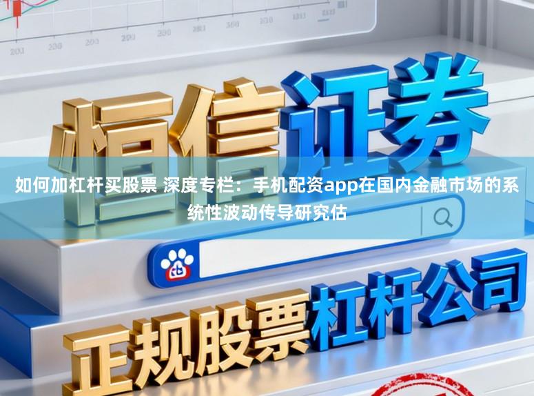 如何加杠杆买股票 深度专栏:手机配资app在国内金融市场的系统性波动传导研究估