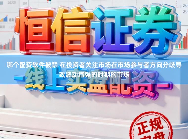 哪个配资软件被禁 在投资者关注市场在市场参与者方向分歧导致波动增强的时期的市场