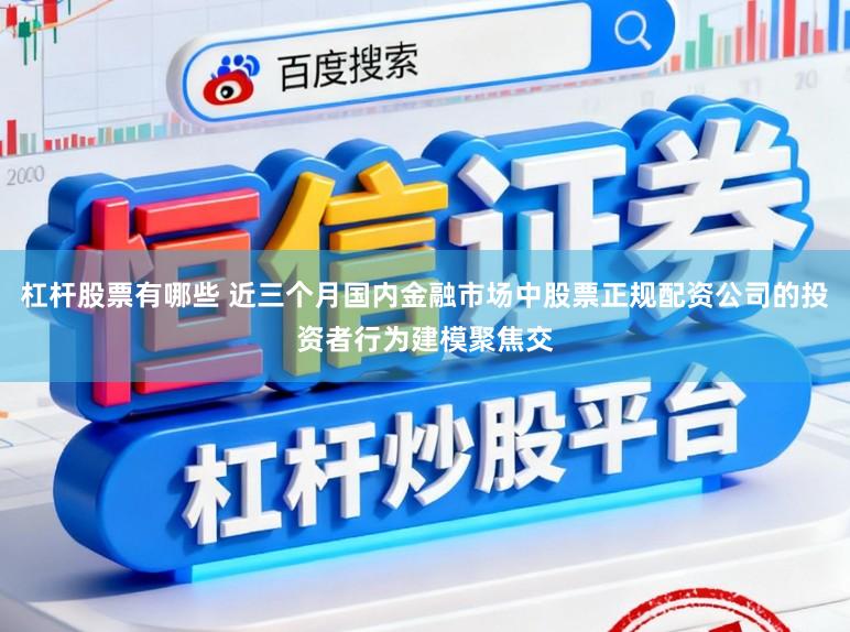 杠杆股票有哪些 近三个月国内金融市场中股票正规配资公司的投资者行为建模聚焦交