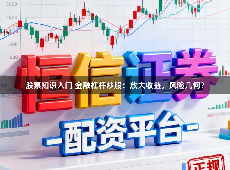 股票知识入门 金融杠杆炒股：放大收益，风险几何？